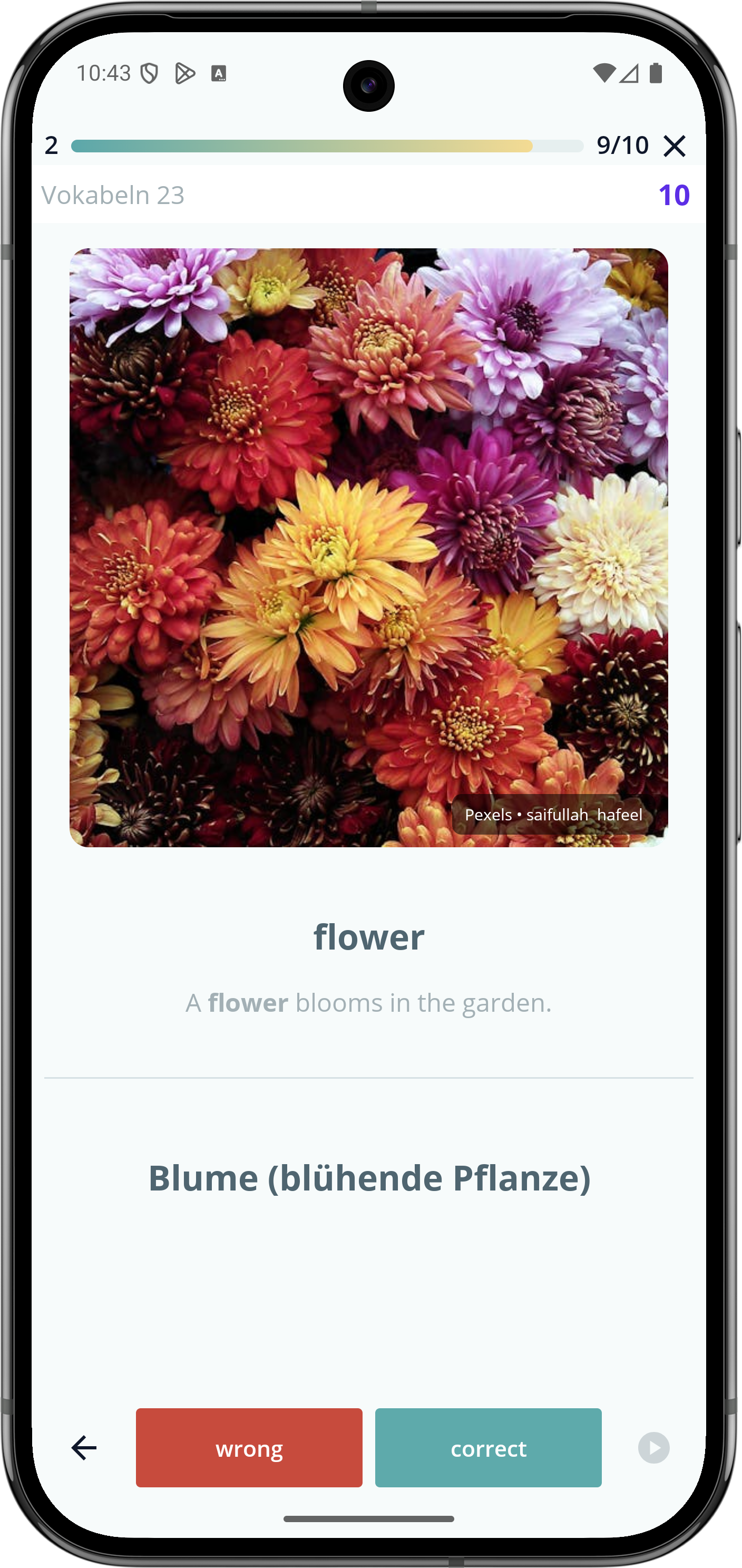 VokabelWunder images and audio screenshot
